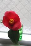 10feb 062a