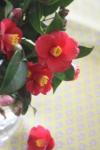 10feb 060a
