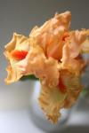 10june 051a
