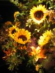 10june 095