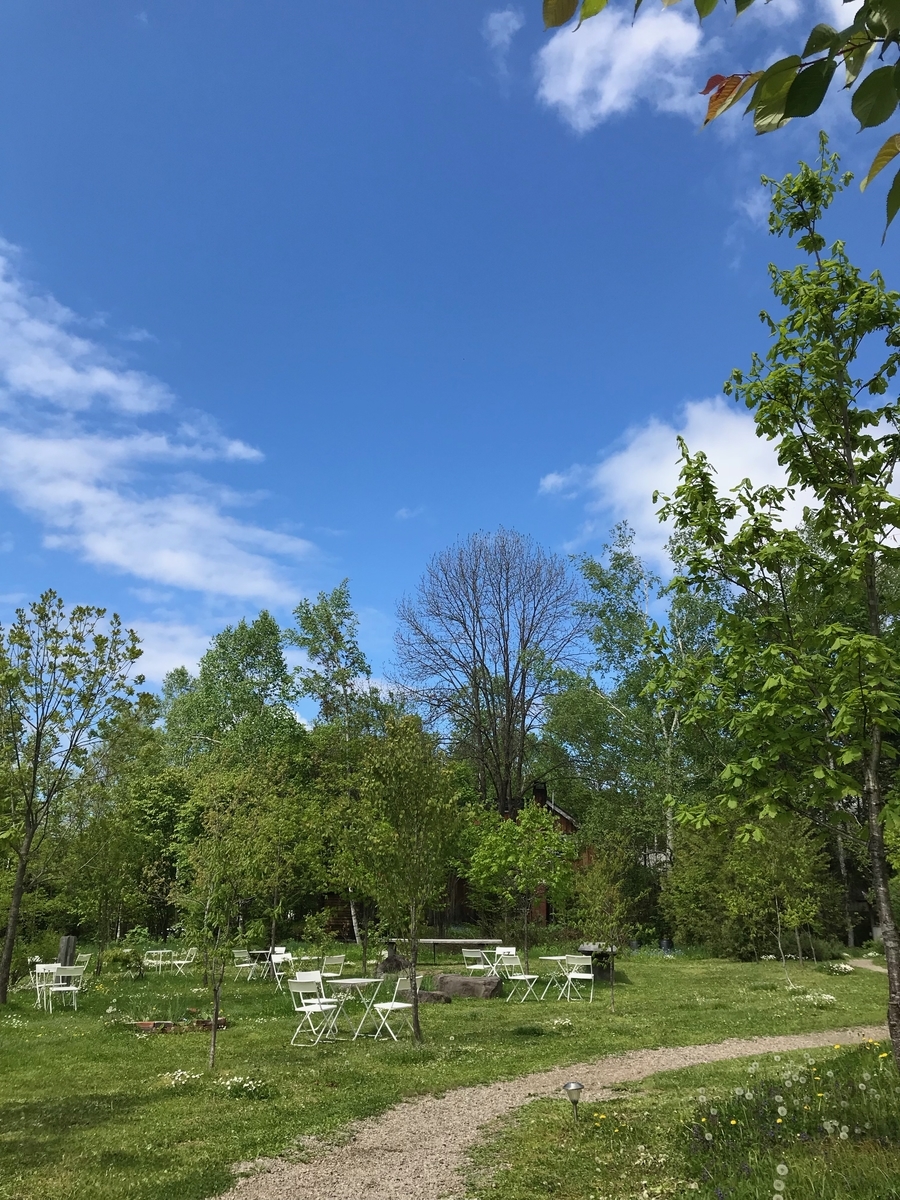 f:id:amicaflower:20190531114837j:plain