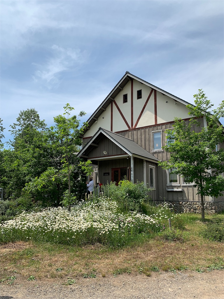 f:id:amicaflower:20190624192531j:image