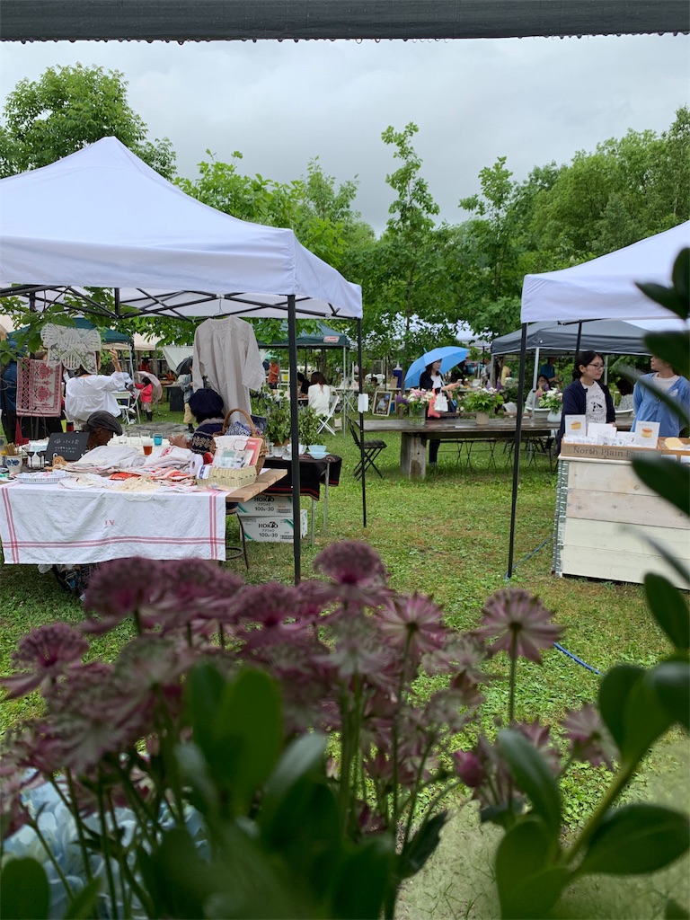 f:id:amicaflower:20190624193318j:image